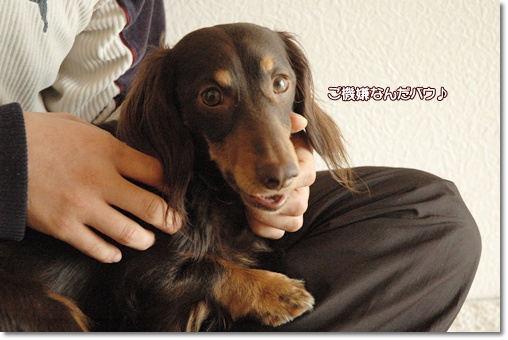 souther_20100216d
