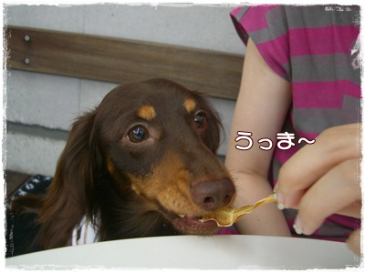 souther_20090708d
