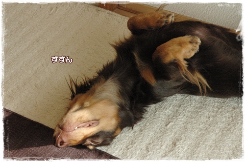 souther_20100109j