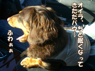 souther_20081201e
