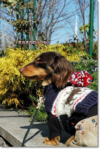 20110225e