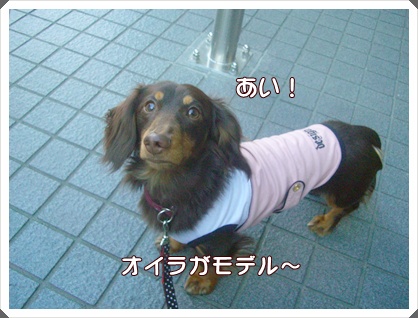souther_20090404b