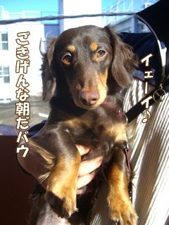 souther_20081206b