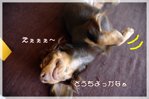 souther_20091021c