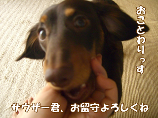 souther_20081117a