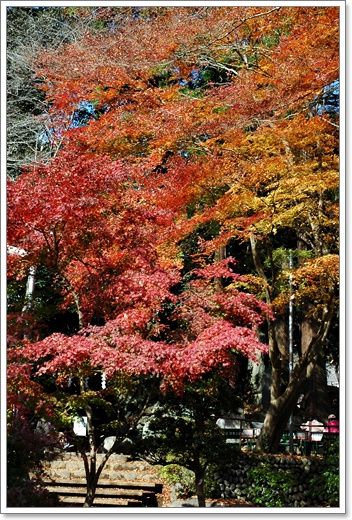 20101130a