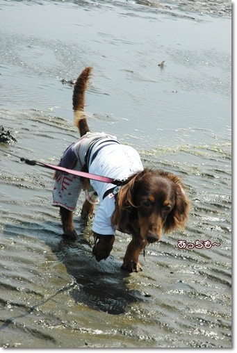souther_20110607g