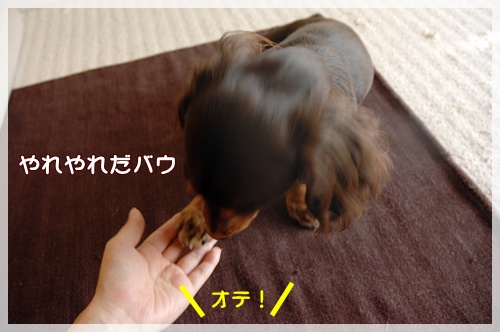 souther_20091021e