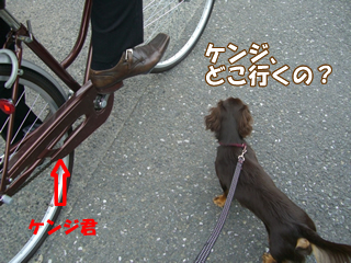 souther_20081112a