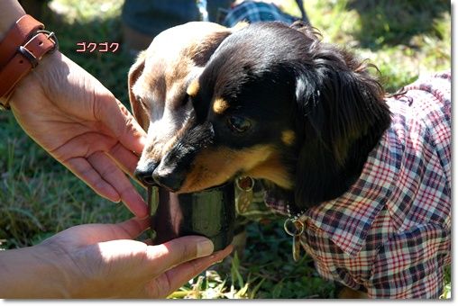 souther_20101025a