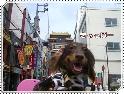 souther_20090707g