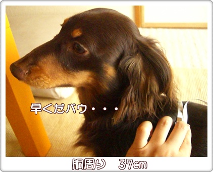 souther_20090604e