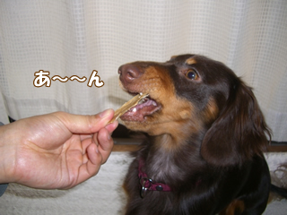 souther_20081124g