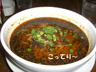 souther_20081117c