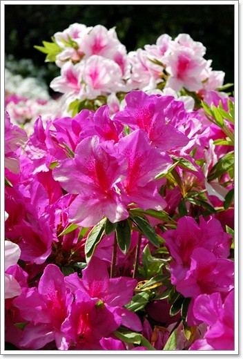souther_20110506b