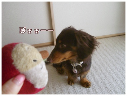 souther_20090305b