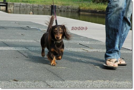 souther_20101023g