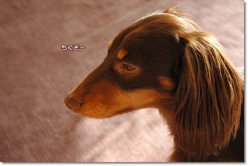 20101226g