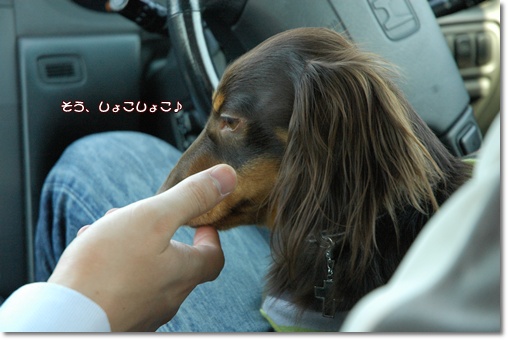 souther_20100502b