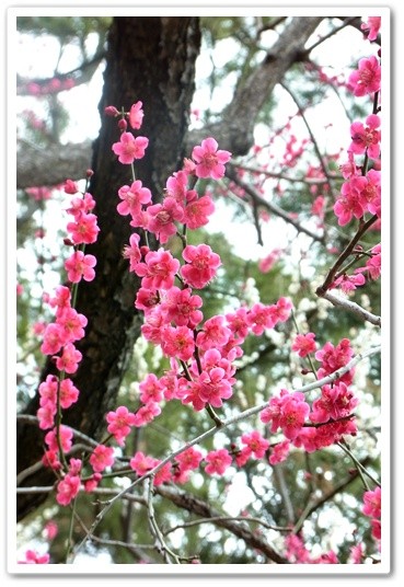 souther_20120331d
