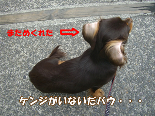 souther_20081112d