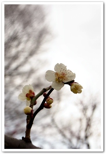 souther_20120331c