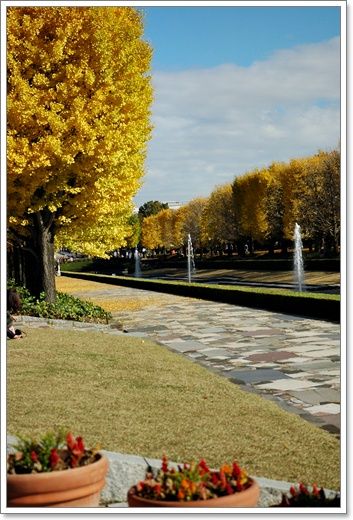 20101128a