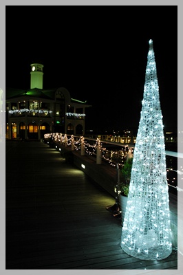 souther_20091111h