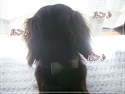 souther_20090327d