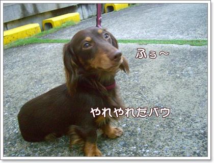 souther_20090607h