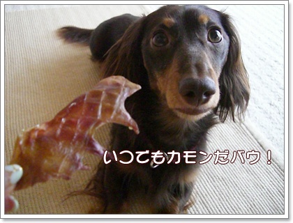 souther_20090717b