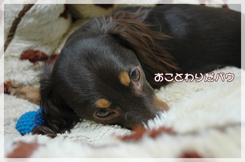 souther_20091112g