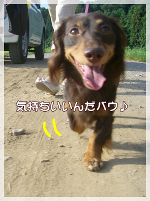 souther_20090831e