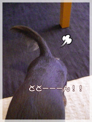 souther_20090805e