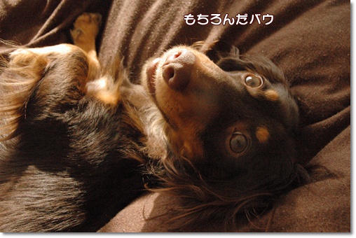 souther_20091219b