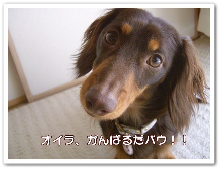 souther_20090305a