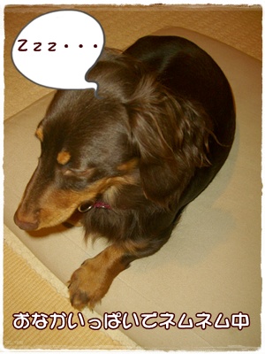 souther_20090227g