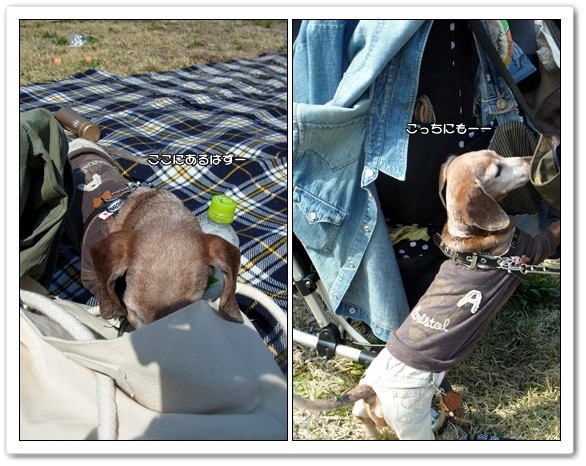 souther_20120427hh
