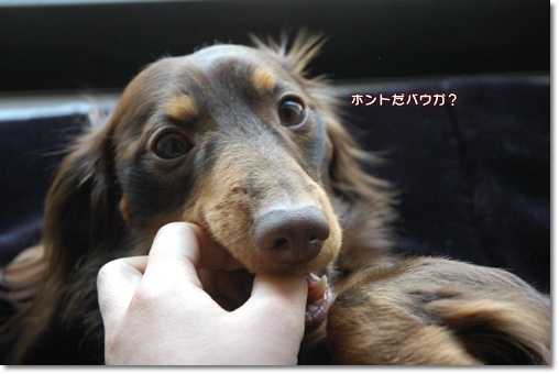 souther_20100426g