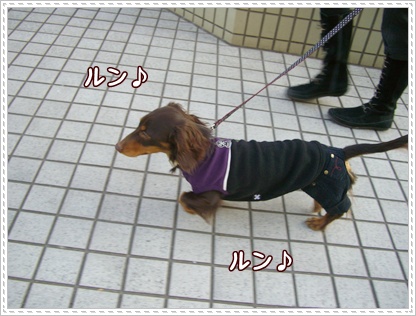 souther_20090224f