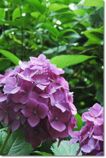 souther_20100706f
