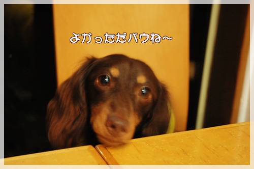 souther_20090919i