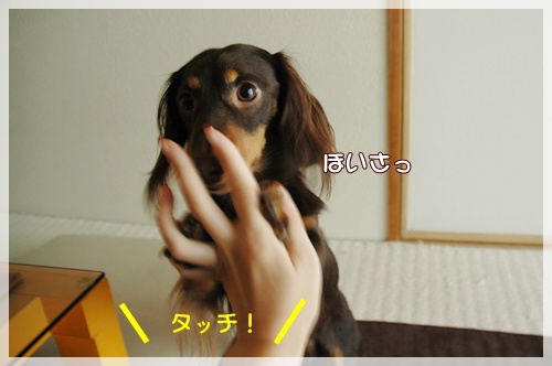 souther_20091108d
