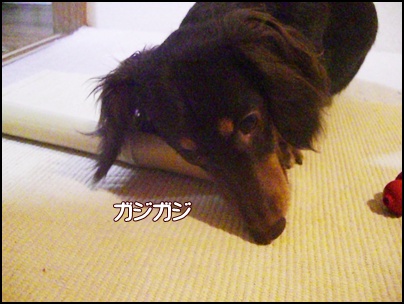 souther_20090322d