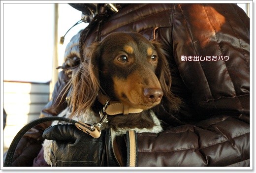 20110223h