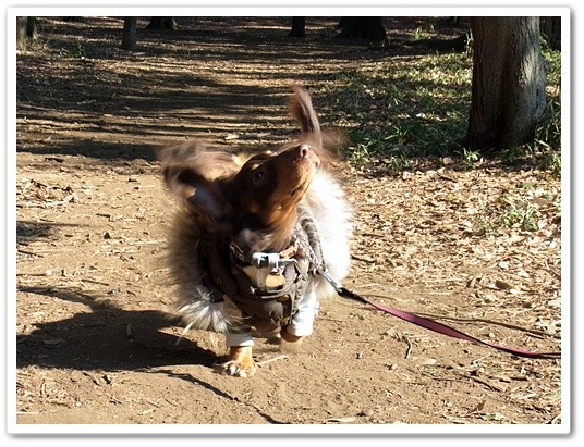 souther_20120214b