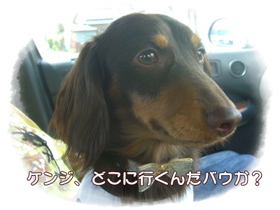 souther_20090405b