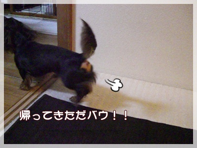 souther_20090731g