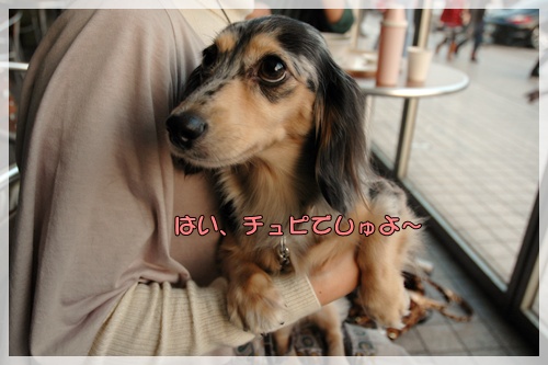 souther_20091111a