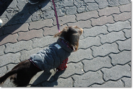 souther_20091226j